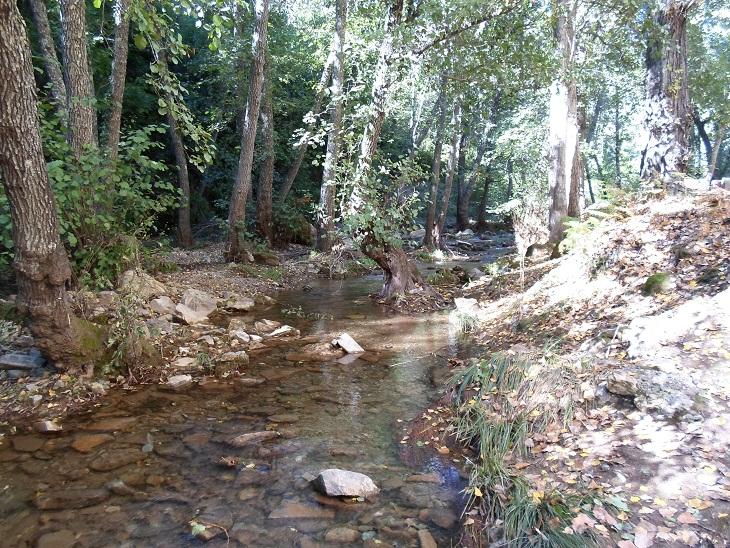 foto_10