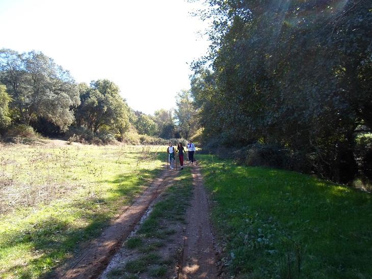 foto_3