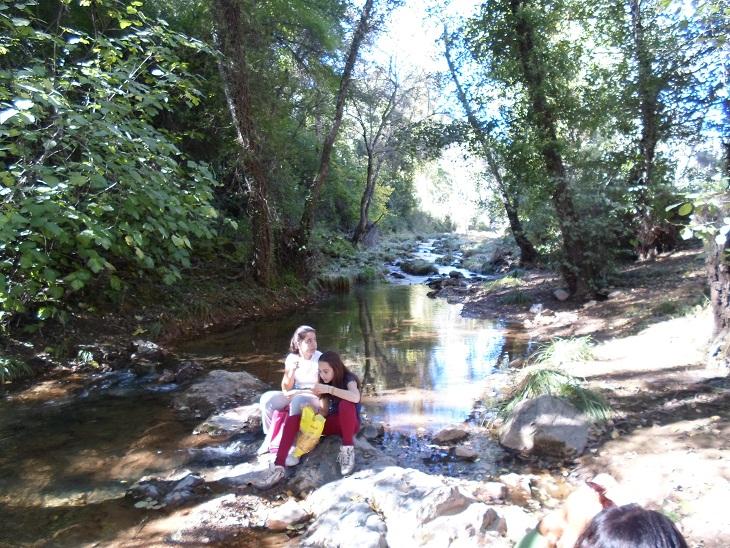 foto_6