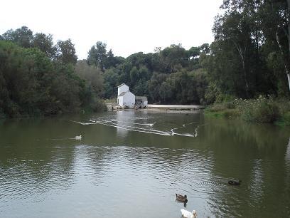 OROMANA_4