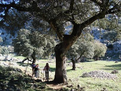 salto_cabrero_4