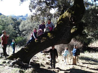 salto_cabrero_5