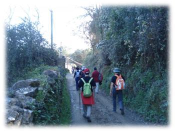 valdelarco13