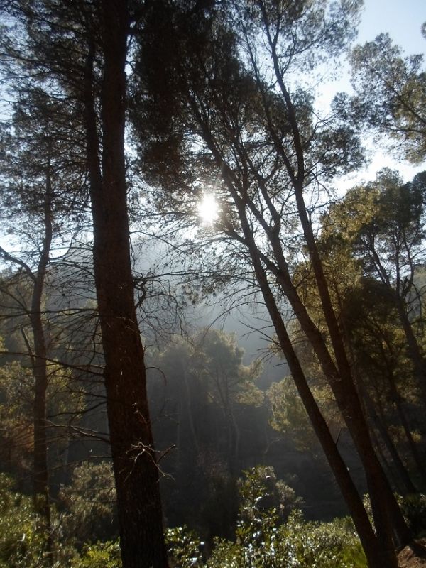 El Caminito del Rey