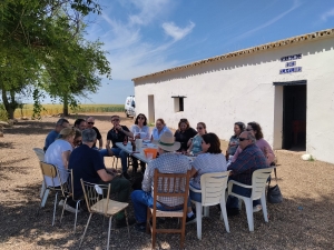 Fiesta de la Primavera 2026